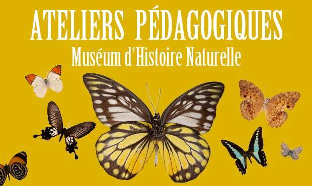 Programme des ateliers du Muséum d'Histoire Naturelle