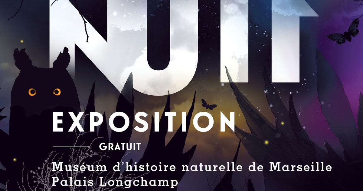 Exposition Nuit, Muséum d'histoire naturelle