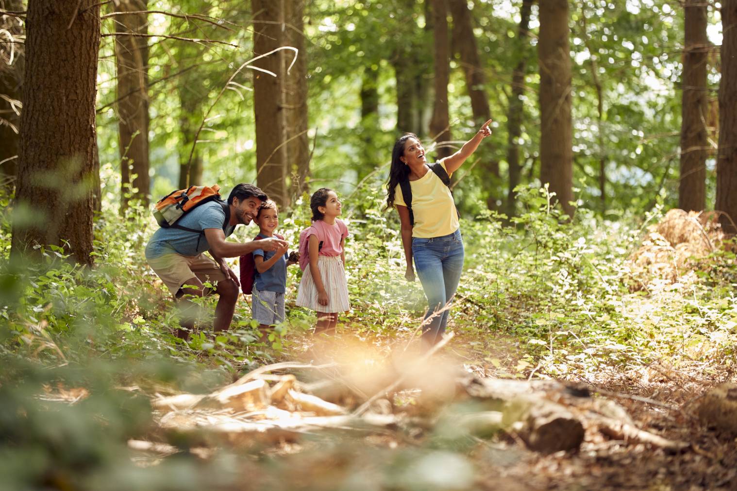 activités à prévoir en famille