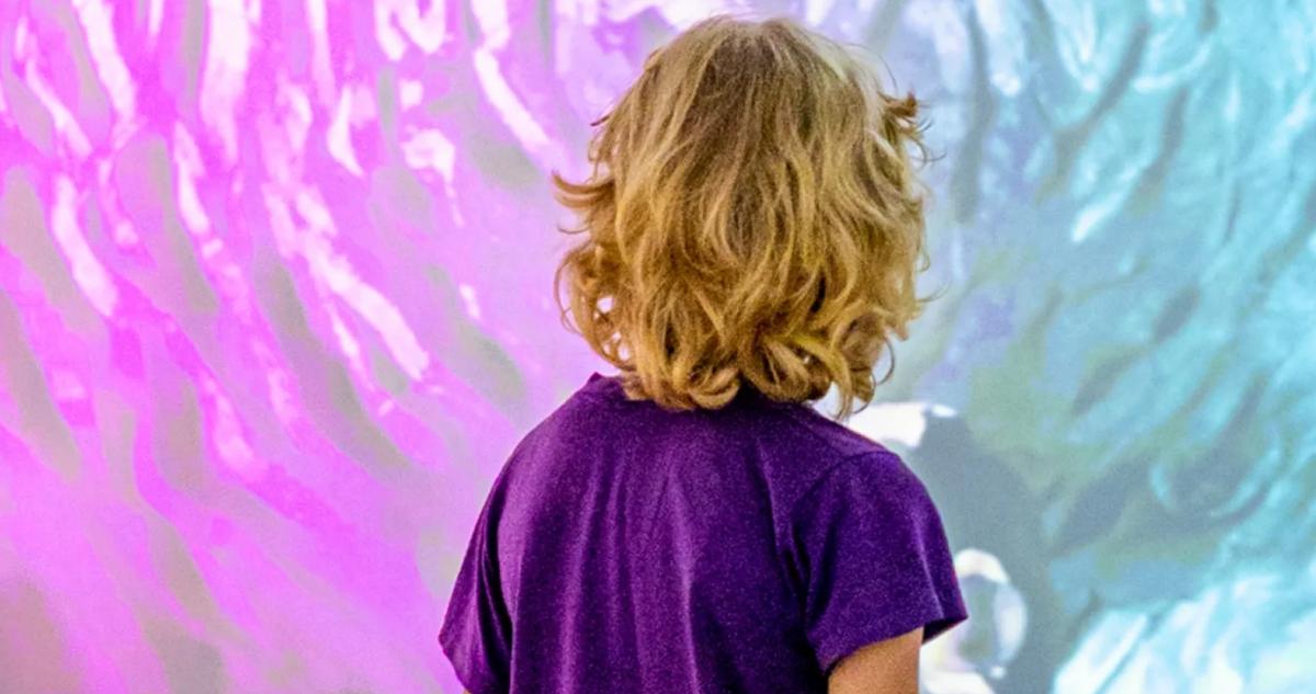 Visites en famille au Musée d'art contemporain [mac]