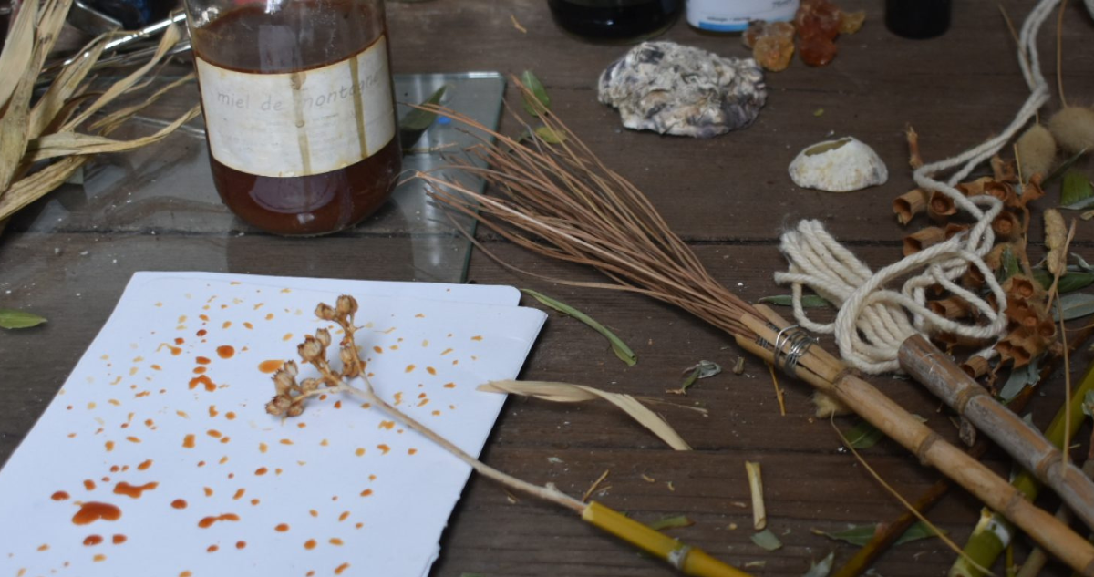 Les Petits Mercredis nature à la Friche