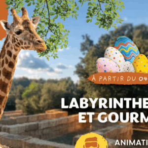 Chasse aux oeufs de Pâques au Zoo de la Barben