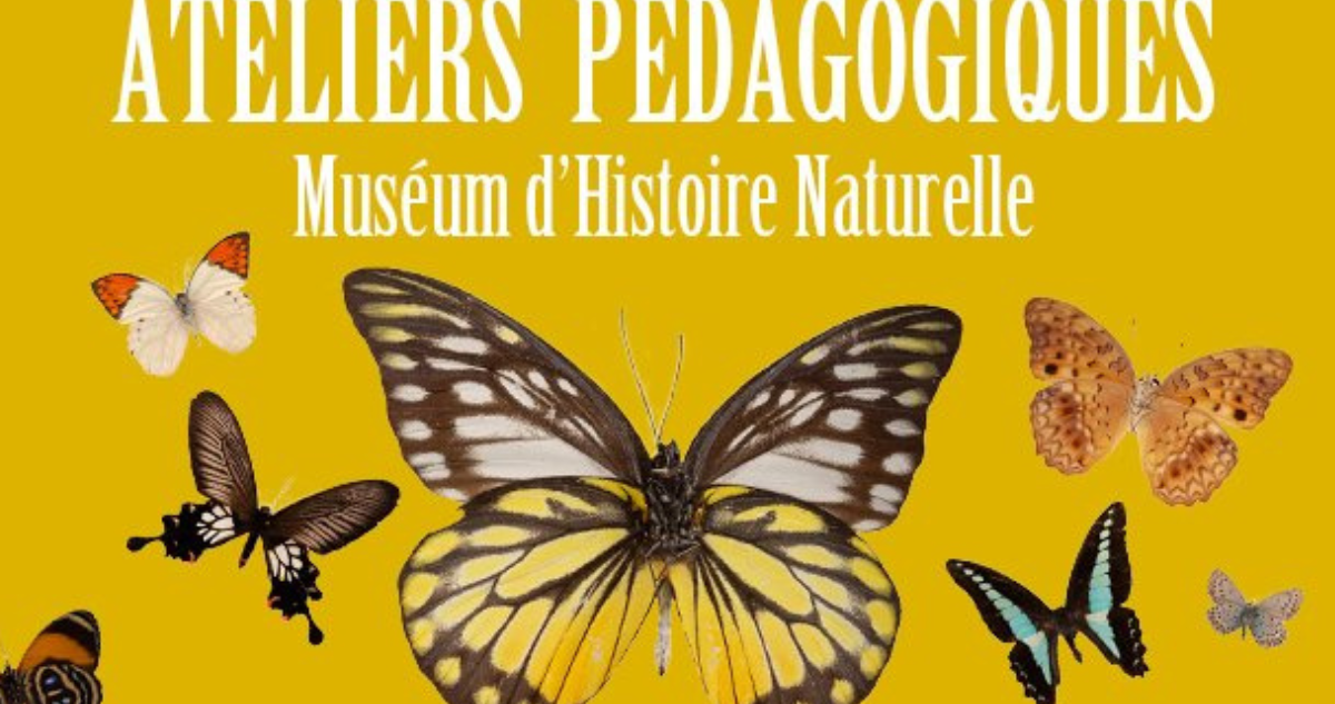 Ateliers enfants au Muséum d'Histoire Naturelle d'Aix en Provence