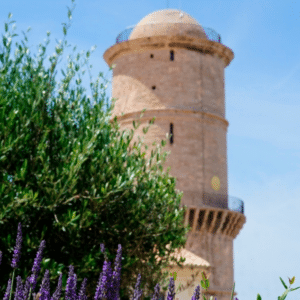 Fête des plantes au Mucem