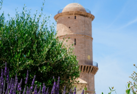 Fête des plantes au Mucem