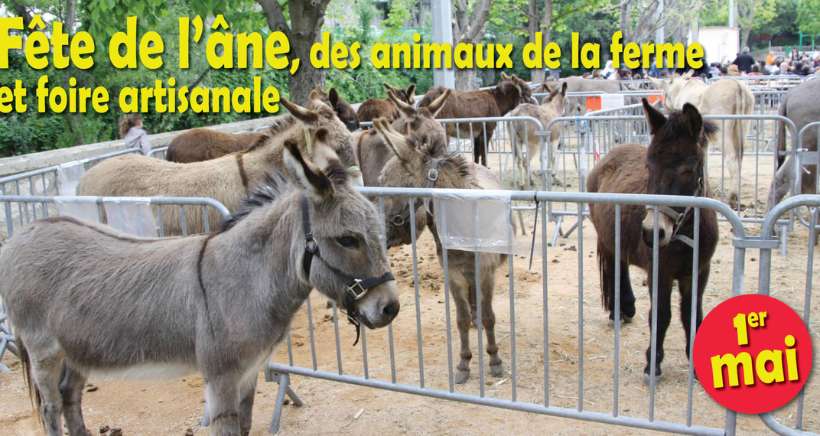 Fête de l'Âne et des Animaux de la Ferme