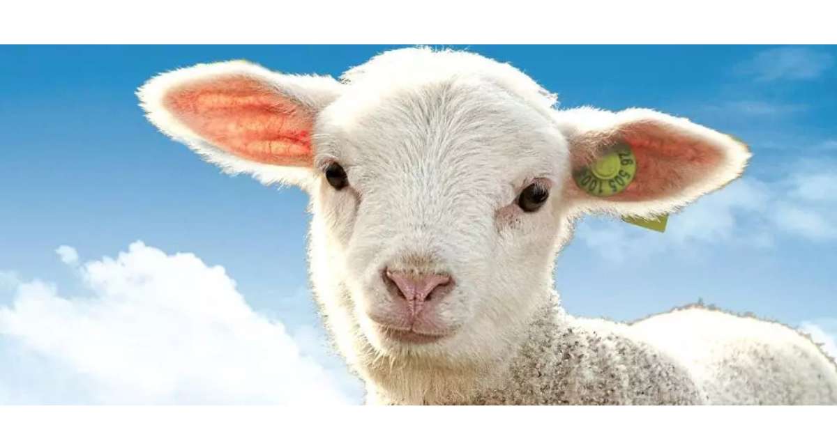 Préférence Provence