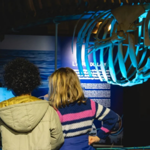 Visite expo Océans