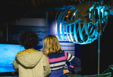 Visite expo Océans