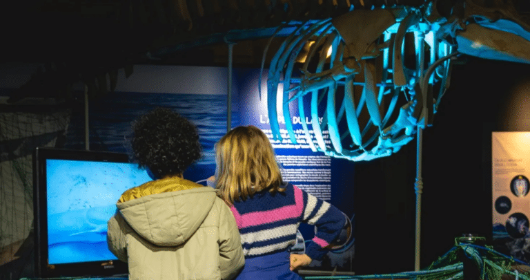 Visites flash autour de l’expo Océans