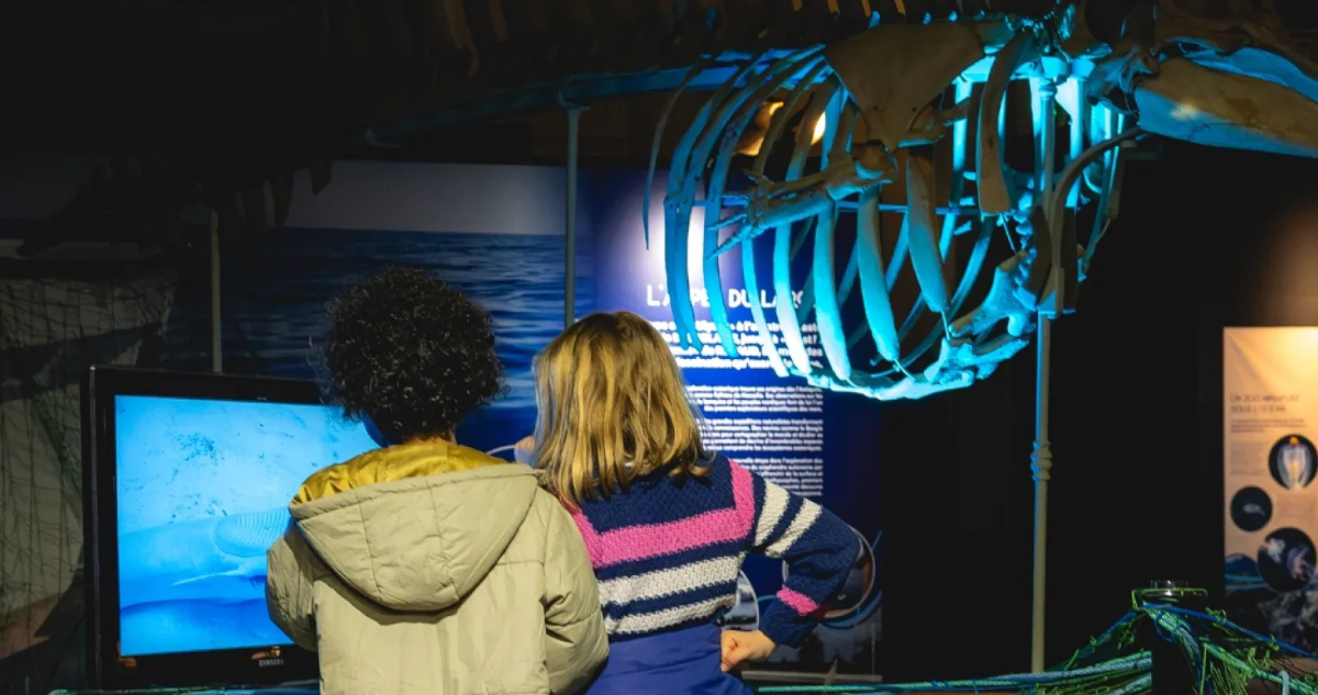 Visite expo Océans