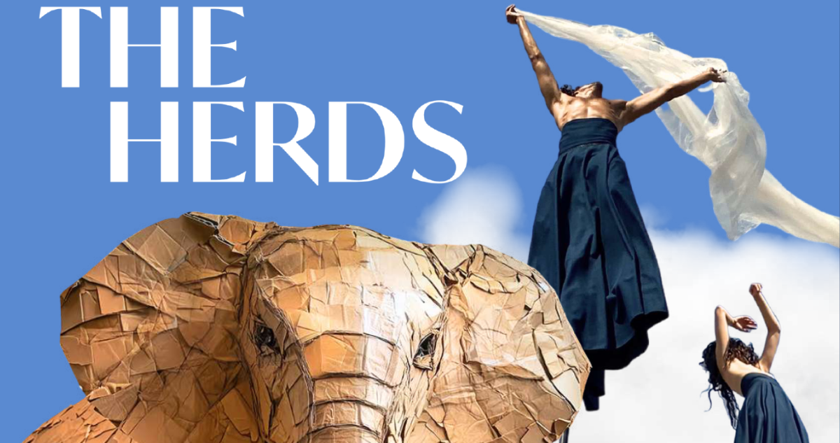 The Herds à Marseille