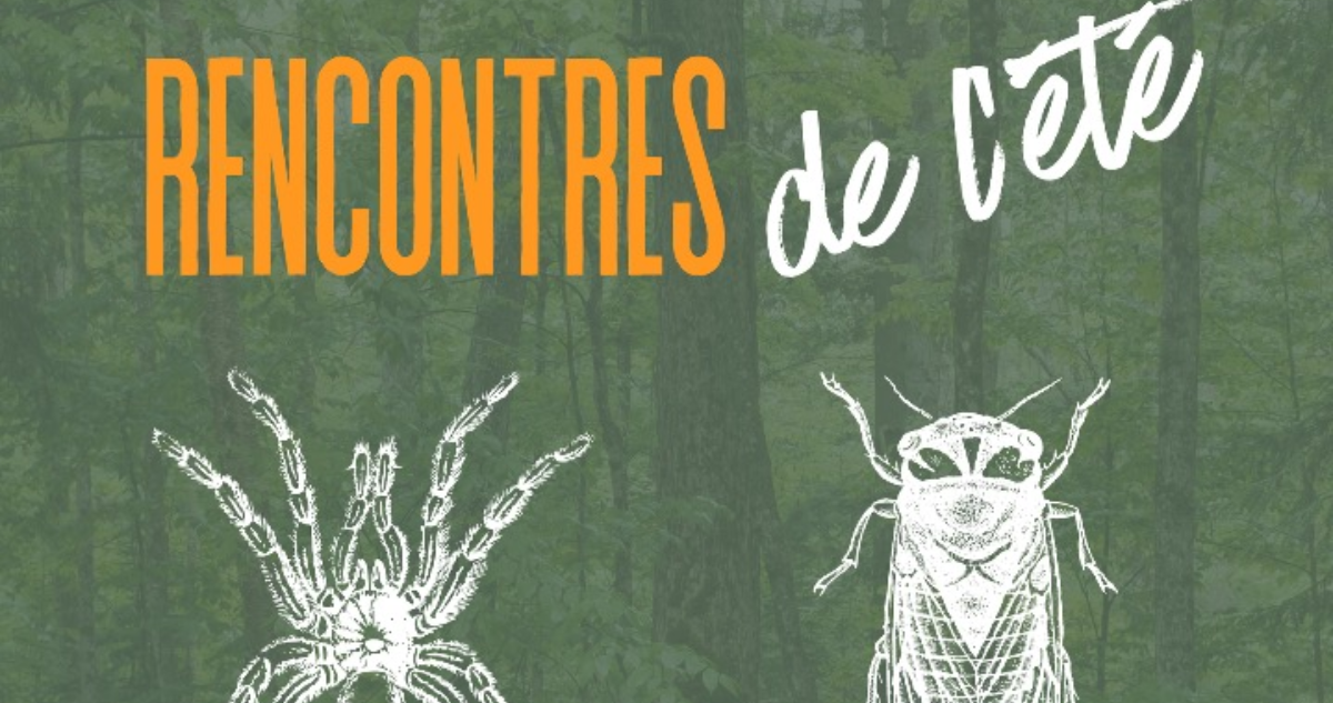 Rencontres de l’Écomusée à Gardanne : à la découverte des petits habitants de la forêt