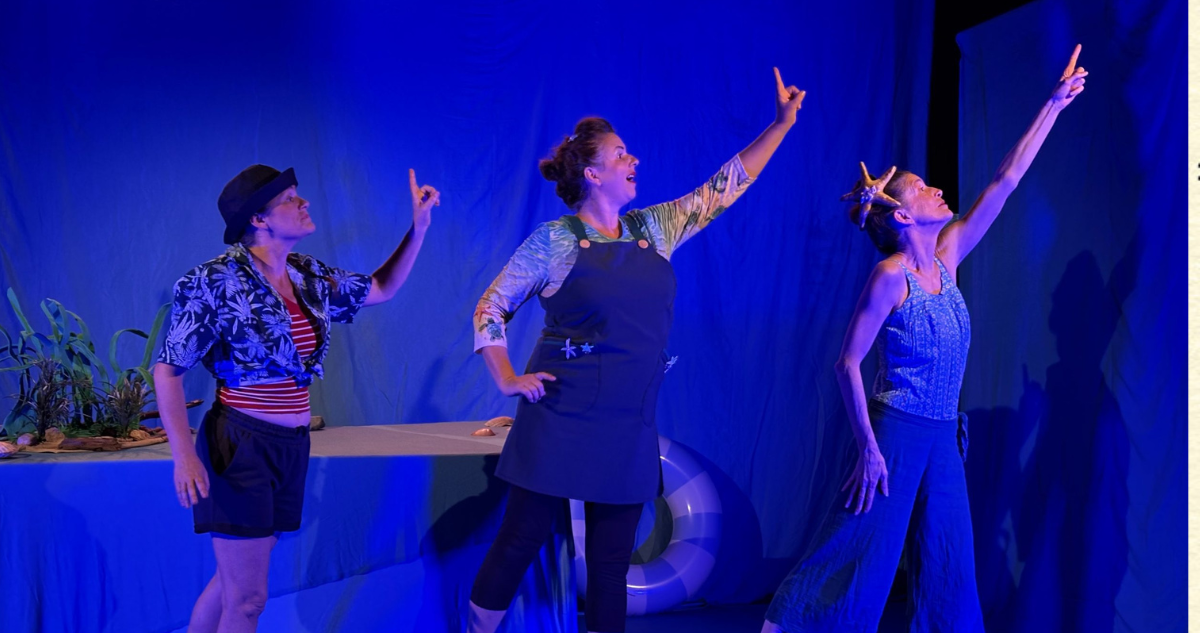 Spectacle Le grand Plongeon