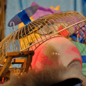 Des équilibres, ou comment ça tient, dès 1 an