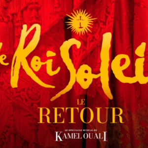le roi soleil spectacle