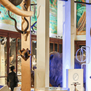 Visite flash au Muséum d'histoire naturelle