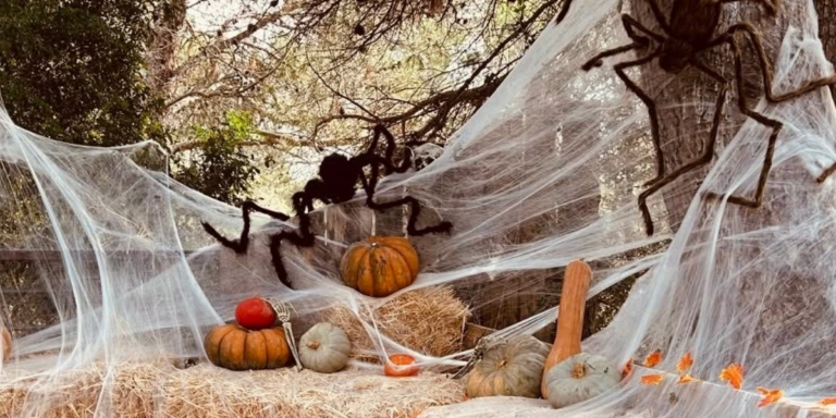 Halloween au Parc animalier de La Barben