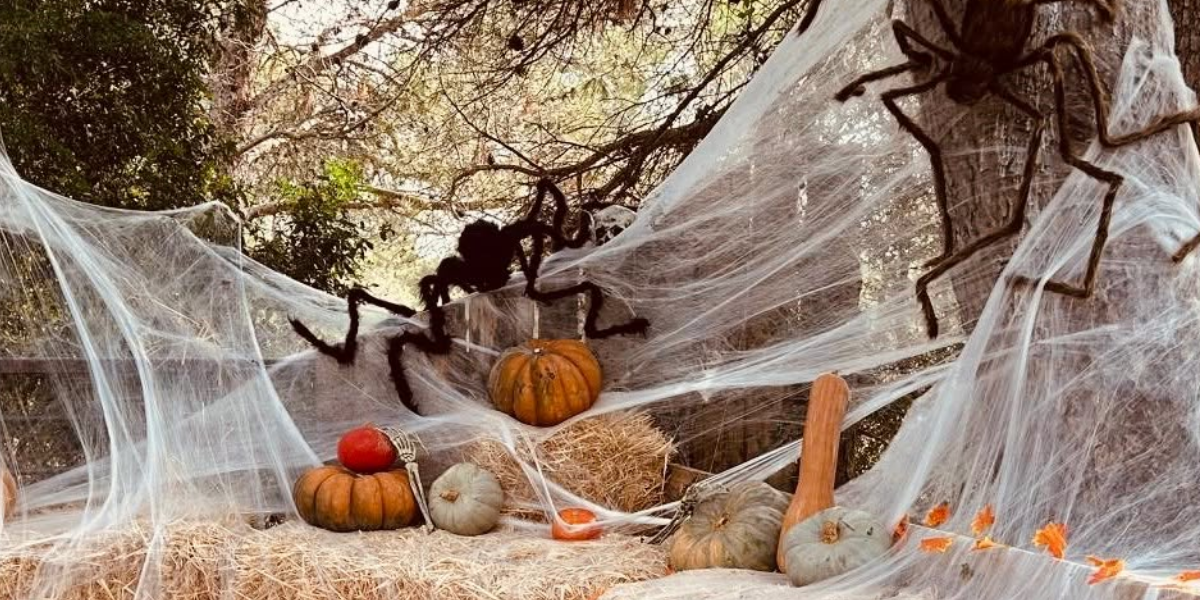 Halloween au Parc animalier de La Barben