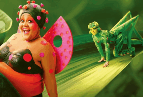 Ovo Cirque du Soleil