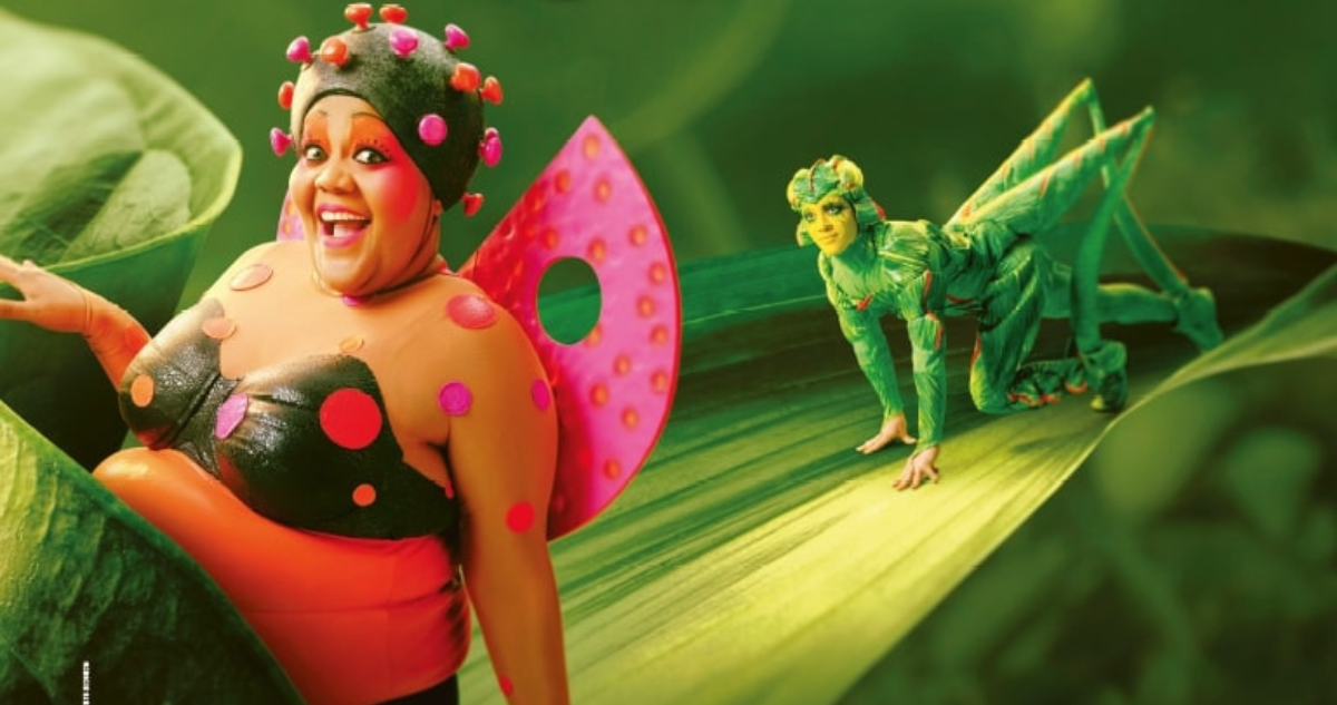 Ovo Cirque du Soleil