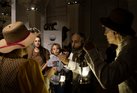Safari nocturne et enquête au Muséum d’Histoire Naturelle de Marseille