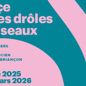 Aliçe et les drôles d'oiseaux