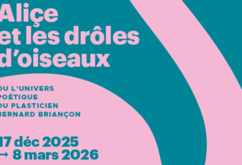 Aliçe et les drôles d'oiseaux