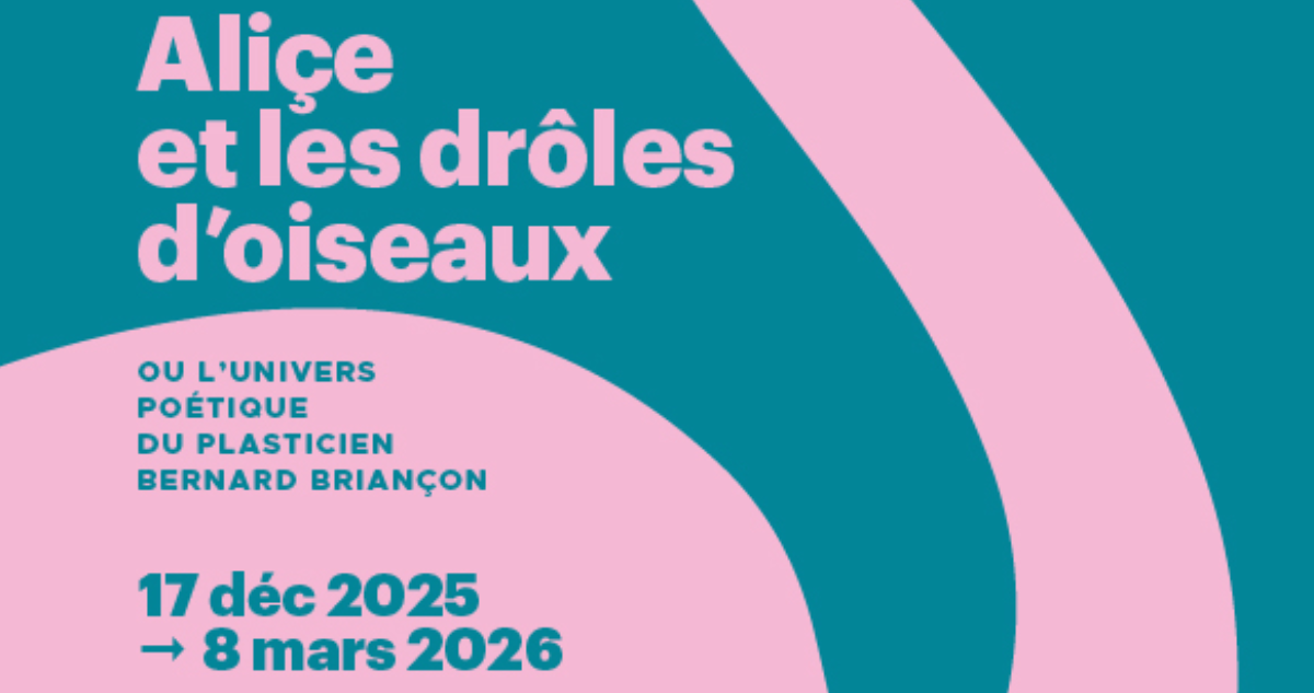 Aliçe et les drôles d'oiseaux