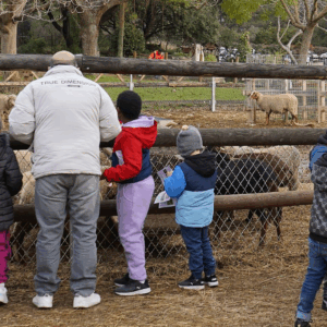 Animations gratuites à la Ferme pédagogique de Figuerolles