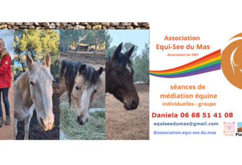 Stage de médiation équine vacances de février 2026