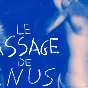 Le Passage de Vébus, expo événement Musée Arles Antique