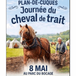 La Journée du cheval de trait