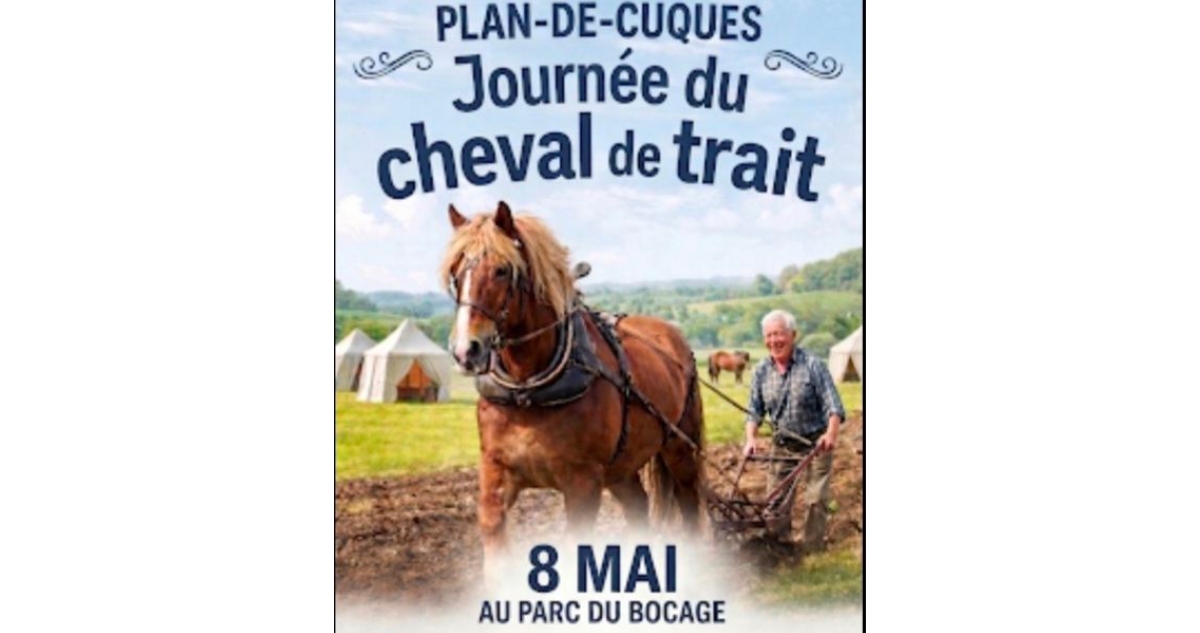 La Journée du cheval de trait