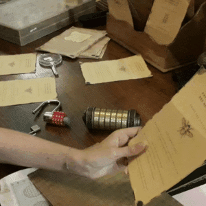 Escape Game au Muséum