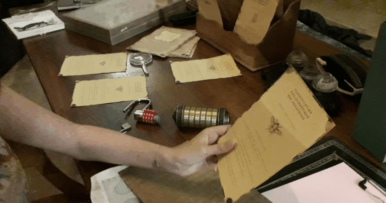 Escape Game au Muséum de Marseille