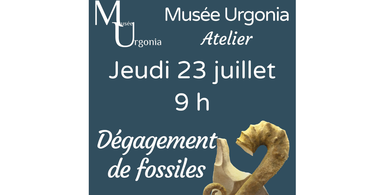 Atelier d'initiation au dégagement de fossiles au Musée Urgonia