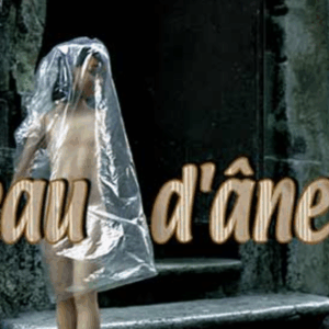 Peau d'âne