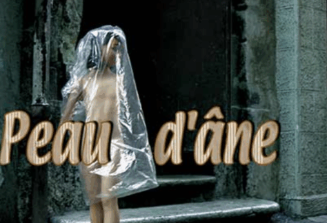 Peau d'âne
