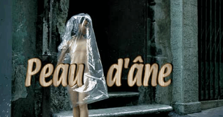 Peau d&rsquo;âne : le conte de Perrault, féerie et résilience au Théâtre Badaboum
