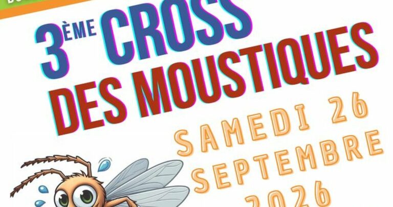 3e Cross des Moustiques : la course des 3-10 ans revient au stade Van Gogh d’Arles