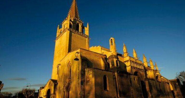Tarascon — Une chambre noire géante à la collégiale Sainte-Marthe