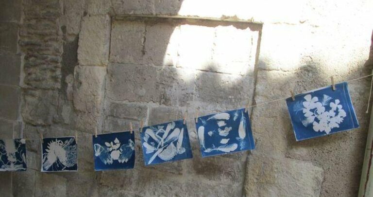 Arles — Un atelier cyanotype au musée Réattu