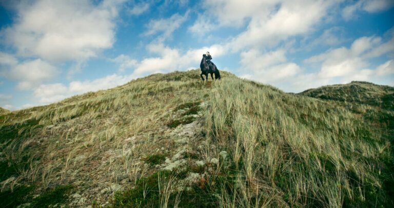 Les Hurle-Vents : un théâtre équestre en plein air sur les traces de Charlotte Brontë