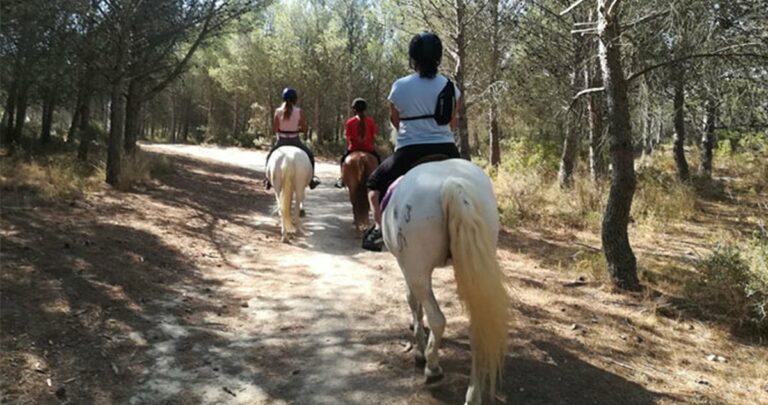 Visite du centre équestre et balade à cheval : une sortie nature au Deven, à Istres