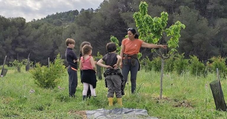 Cueillette de grenades en famille à Saint-Julien-les-Martigues