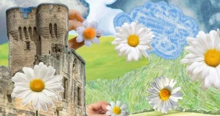 Atelier floral « Un bouquet à Montmajour » : créer sa composition en famille