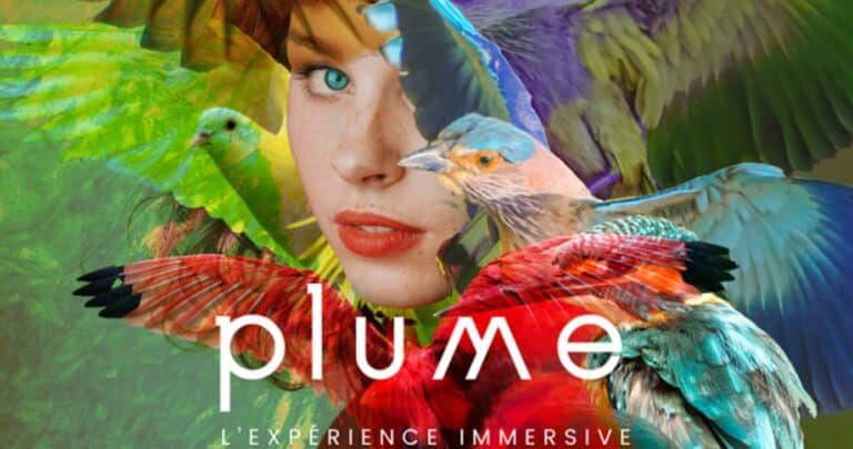 PLUME, l’expérience immersive : sur les traces des oiseaux migrateurs au Mansard d’Aix-en-Provence