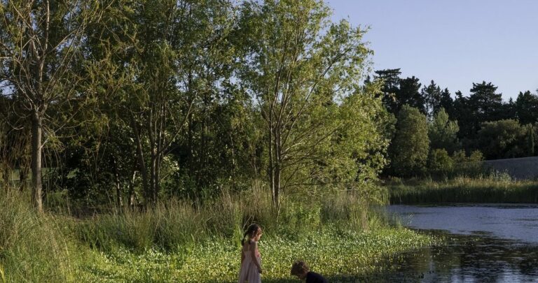 La petite visite Belle-Dame : balade et atelier papillons pour les 3-5 ans à LUMA Arles