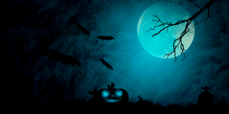 Atelier briques de construction : la citrouille d’Halloween à Salim-Hatubou